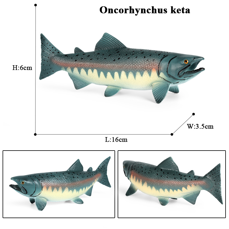 Oenux, modelo de animales de l - Fish In Aquarium Picture reseña y precio