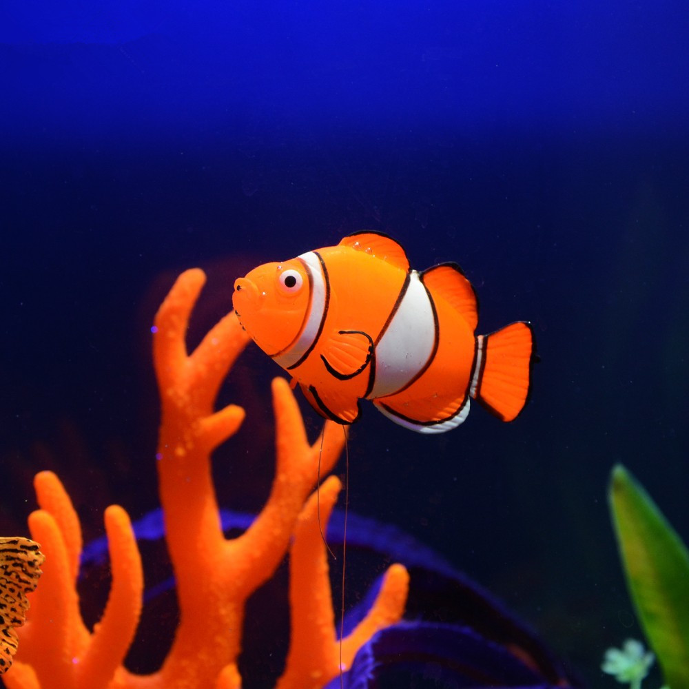 Adorno Luminoso de Silicona pa - Aquarium Fish Glow In The Dark reseña y precio