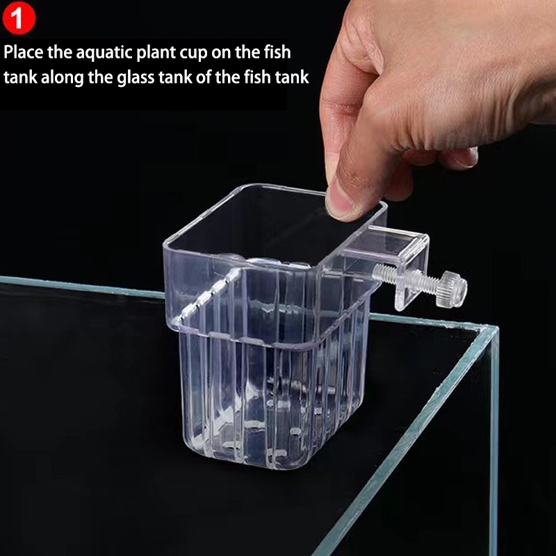 Taza de plantación de hierba d - Box Fish In Aquarium reseña y precio