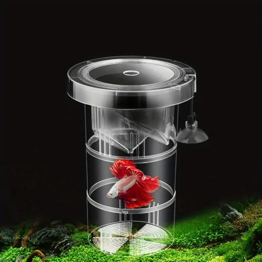 Caja de aislamiento flotante d - Box Fish In Aquarium reseña y precio