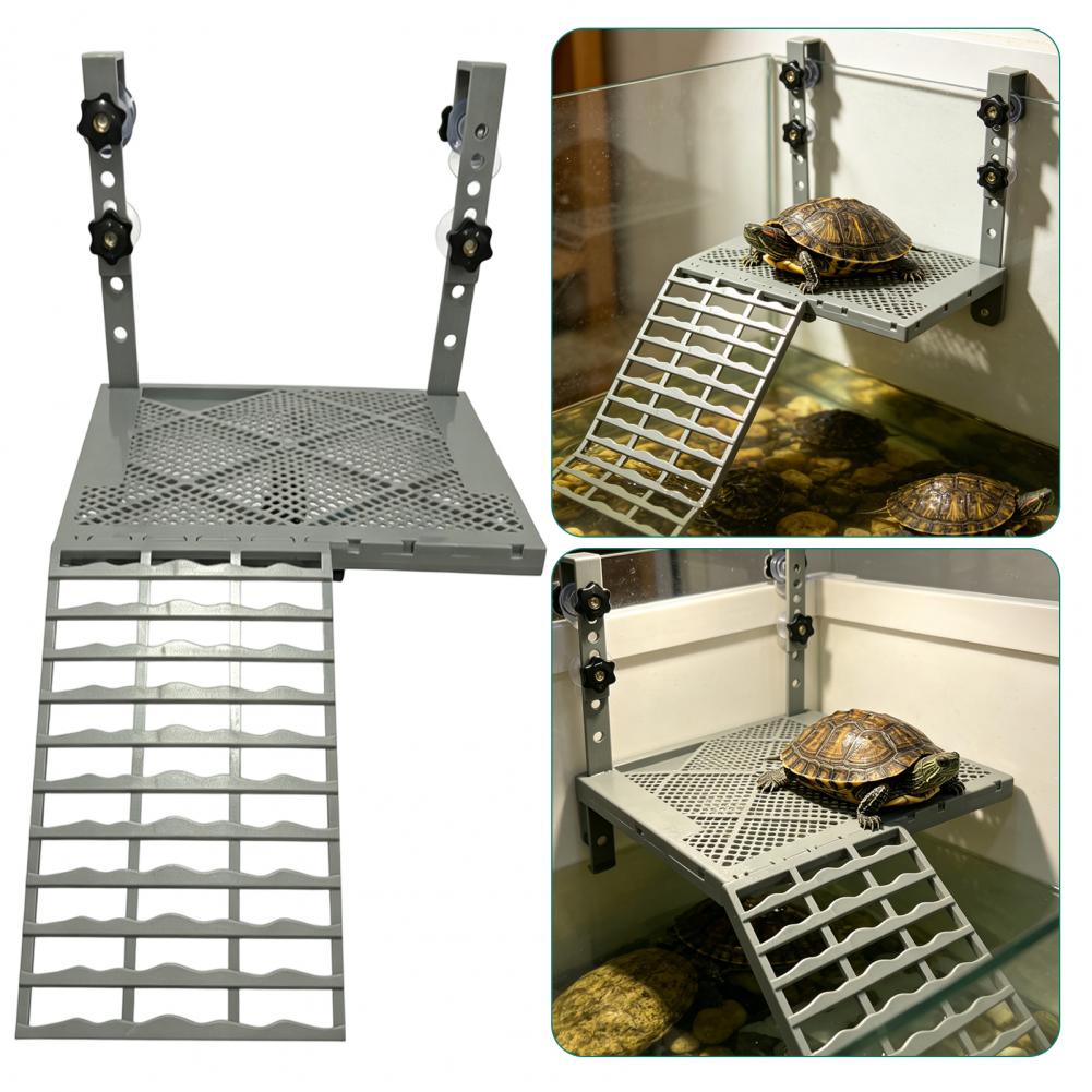 Decoración para Acuario, Plata - Aquarium Fish Types reseña y precio