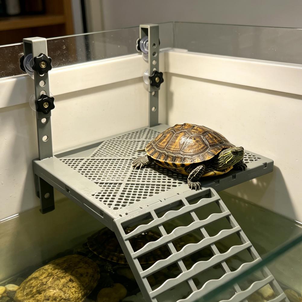 Decoración para Acuario, Plata - Aquarium Fish Types reseña y precio