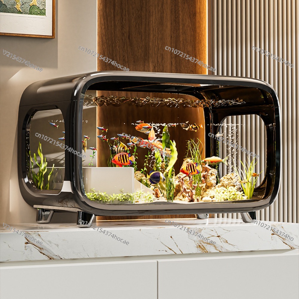 Pecera Ecológica Transparente  - Aquarium Fish Live reseña y precio
