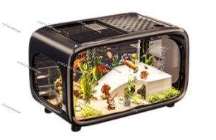 Pecera Ecológica Transparente  - Aquarium Fish Live reseña y precio