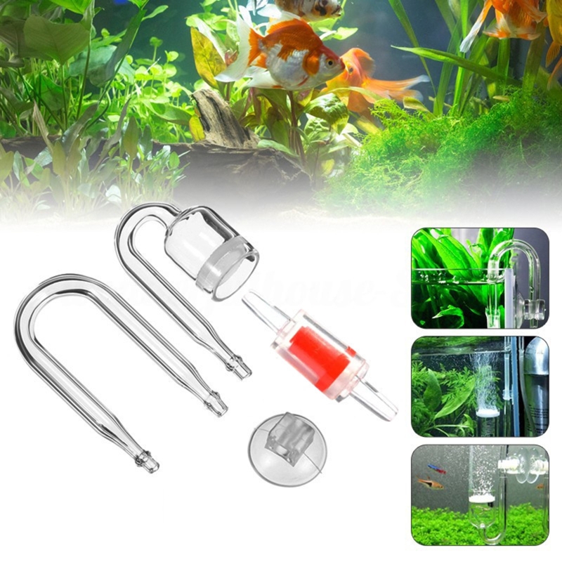 Juego de 4 piezas de difusor d - Aquarium Fish Photography reseña y precio