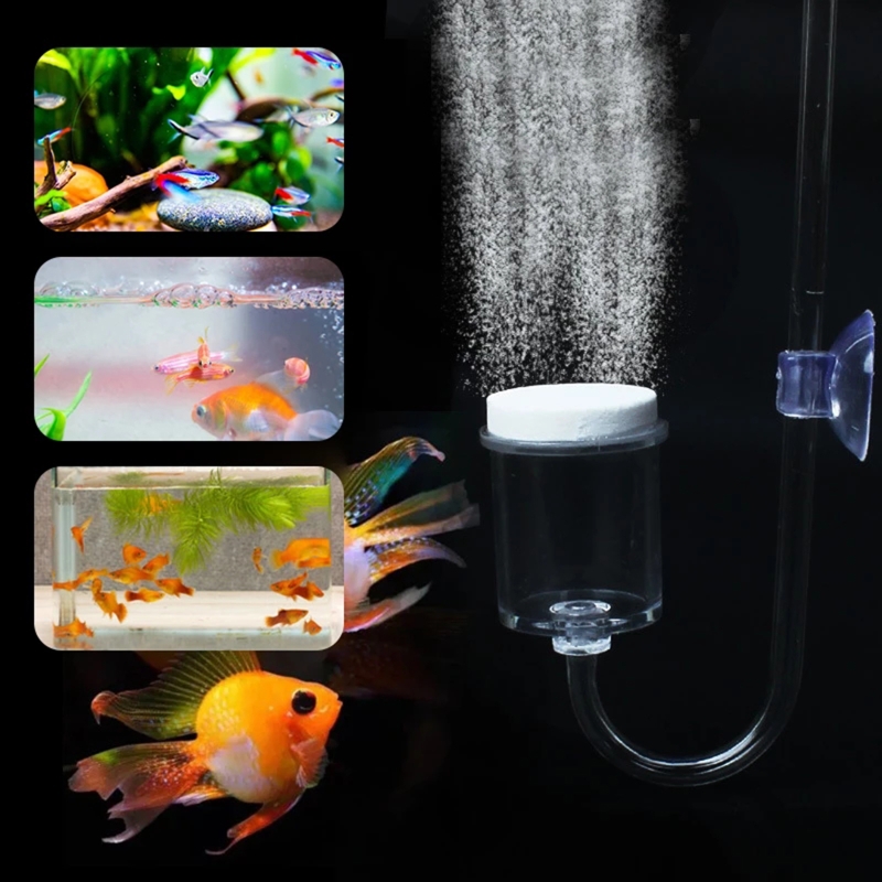 Juego de 4 piezas de difusor d - Aquarium Fish Photography reseña y precio