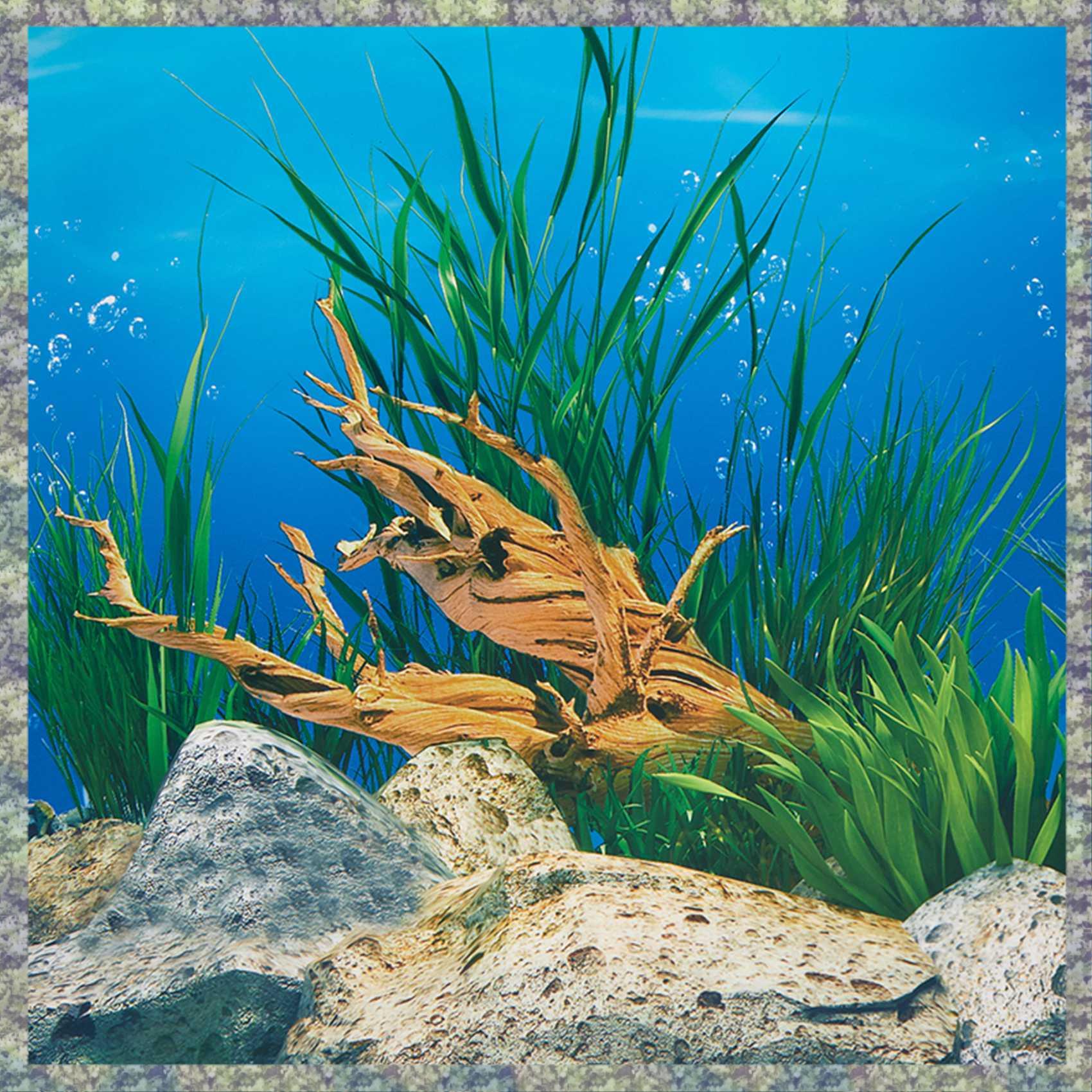 Papel de fondo de acuario WON, - Fish In Aquarium Picture reseña y precio